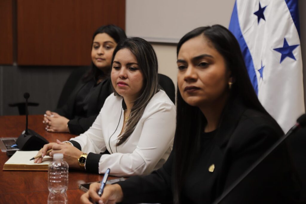 Comisión de Seguridad Alimentaria del CN conoce cifras sobre realidad del país