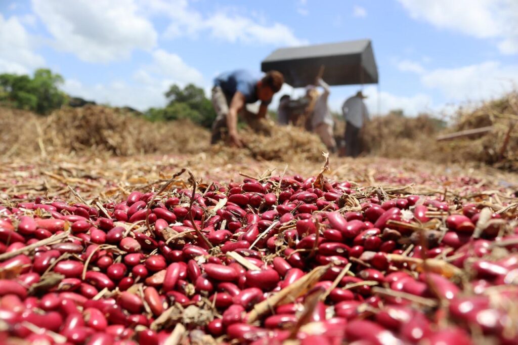 SAG refuerza acciones de monitoreo climático y orientación técnica para el ciclo agrícola