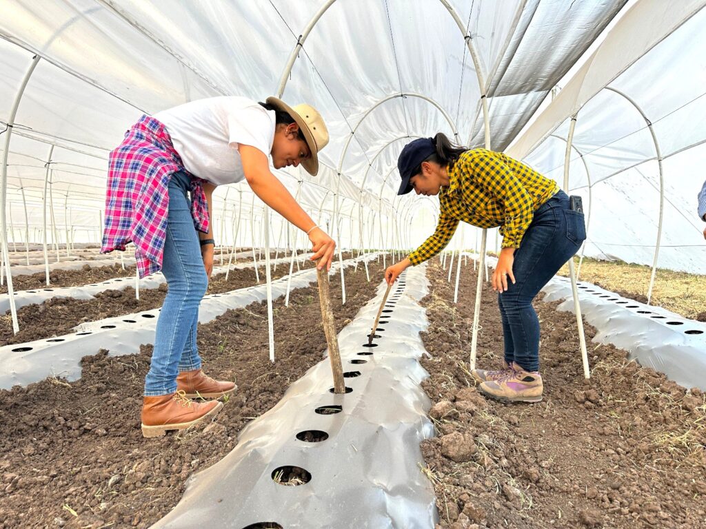 Gobierno, FAO y aliados lanzan estrategia para impulsar la inversión en el sector agroalimentario