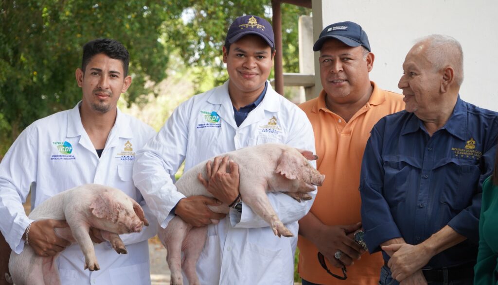 SAG beneficia a 100 productores de Yoro, Olancho y Choluteca con pie de cría porcina de alto valor genético