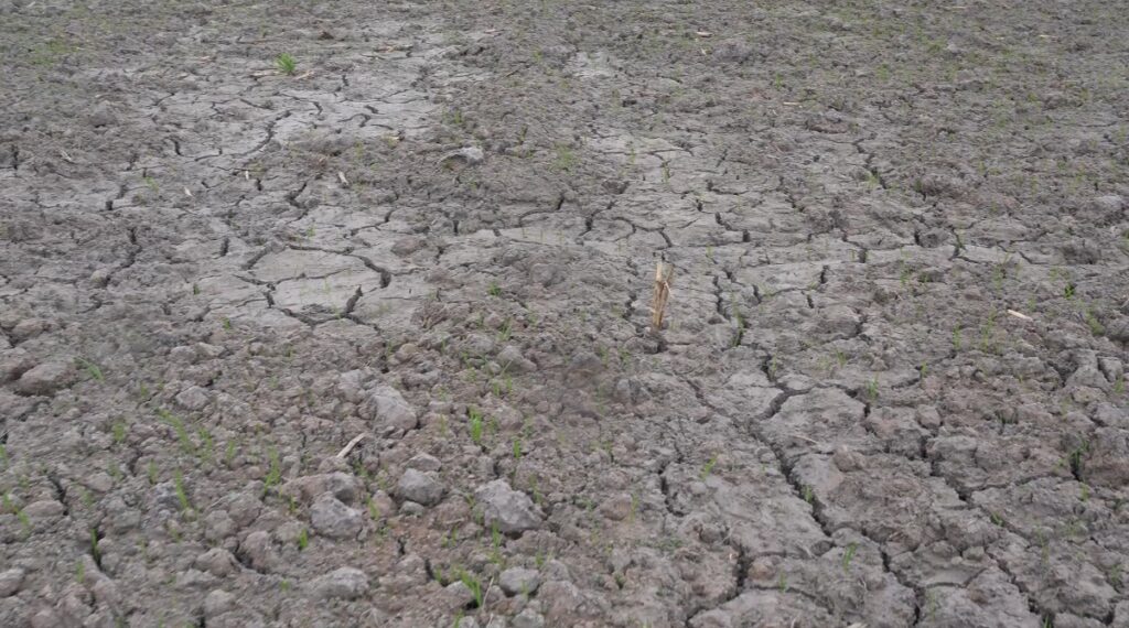 SAG prepara vuelos para estimular lluvias y reforzar producción de alimentos ante la sequía