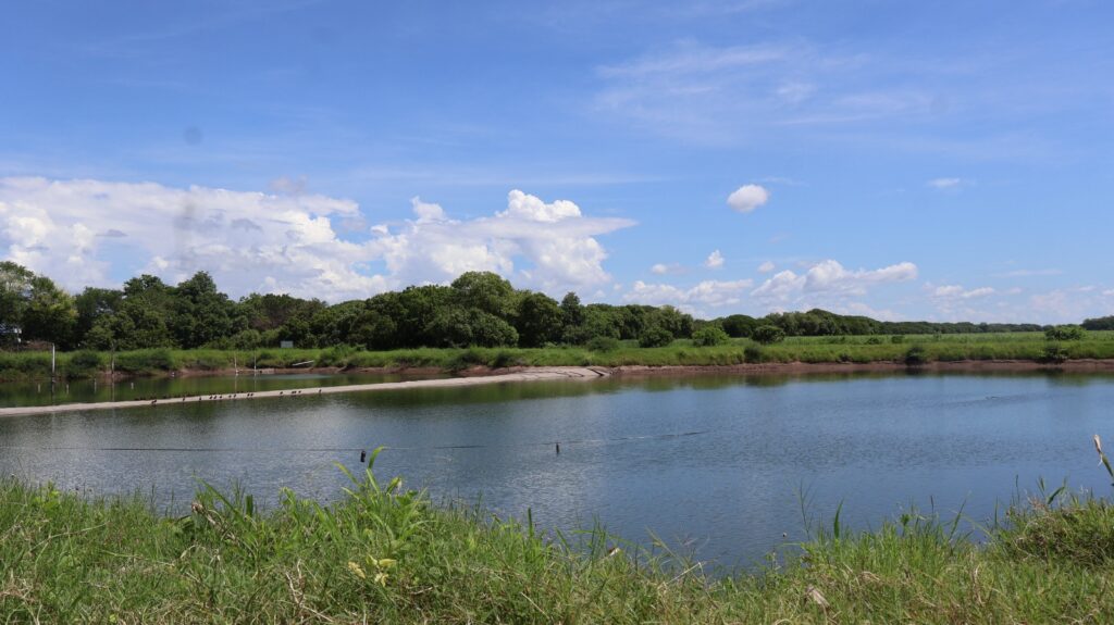 Lluvias recuperan reservorios de agua en Choluteca tras meses de sequía